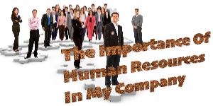 The Importance Of Human Resources In My Company