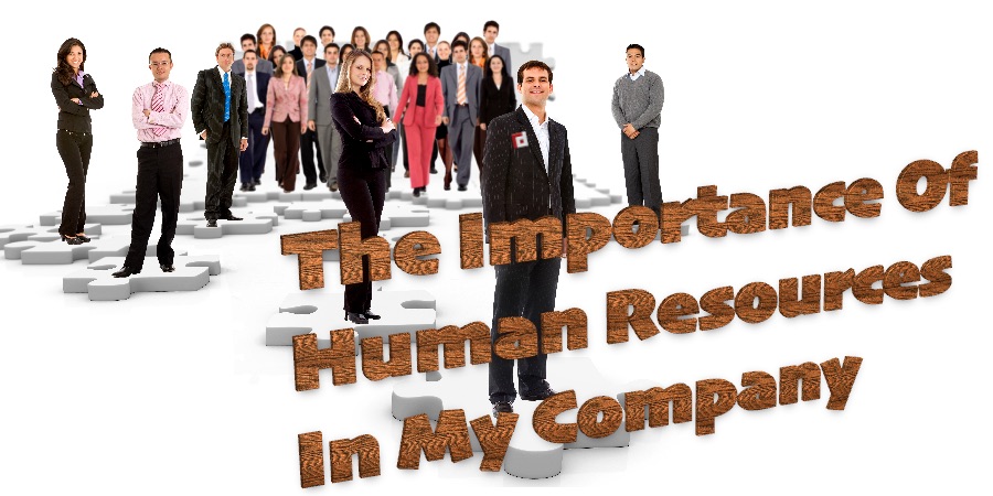 The Importance Of Human Resources In My Company