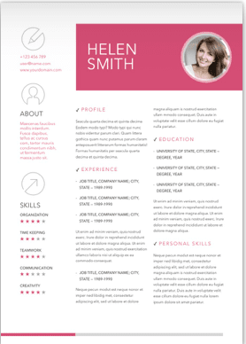 CV / Resume Example 10