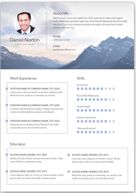 CV / Resume Example 3