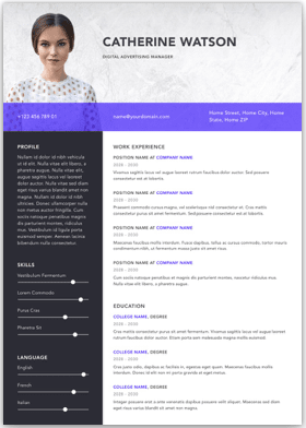 CV / Resume Example 5