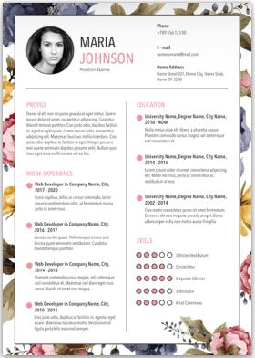 CV / Resume Example 9